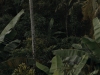 possibility-of-paradise