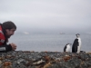 Actor Javier Bardem looking at chinstrap penguins while arriving to King Georg Island in the Antarctic to join Greenpeace ship the Arctic Sunrise in a expedition in support of the largest protected area on Earth, an Antarctic Ocean Sanctuary.