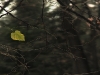 unplugged_film_still_2_header