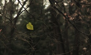 Unplugged_film_still_2