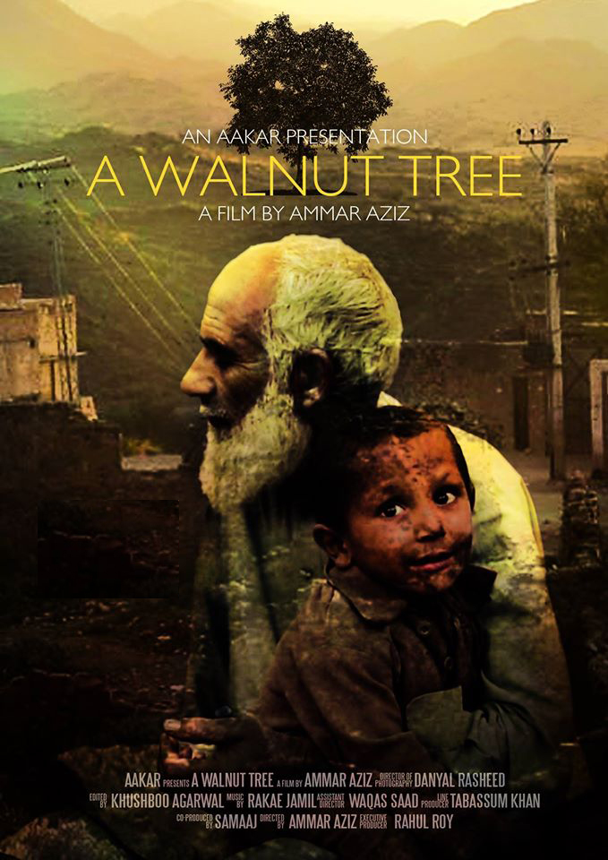 A WALNUT TREE
