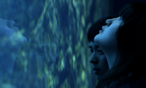 Debris_still_aquarium-e1614952909976