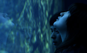 all-of-our-heartbeats-are-connected-through-exploding-stars