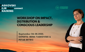 Impact Distribution & Conscious Leadership Workshop in Norway