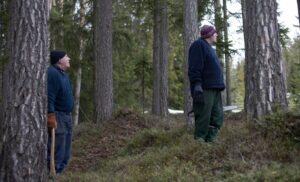 Brødrene i skogen.Foto: Øyvind Elvsborg