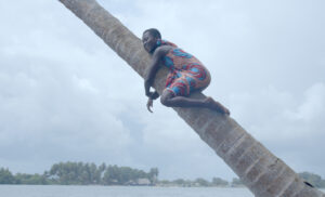 AYA coconut